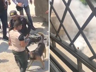 美驻埃及使馆附近爆炸：涉案男子因背包起火被捕