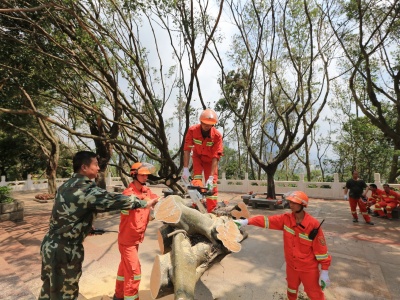 森林消防专业大队连续奋战 确保莲花山公园如期开放