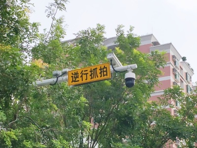 东莞南城将在12个路段启用电子警察