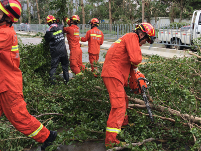 7700余消防员清理4400余棵树木，打通数百公里通道