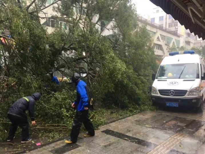东湖街道这些可爱的人：不眠不休，风雨中打通“生命通道”