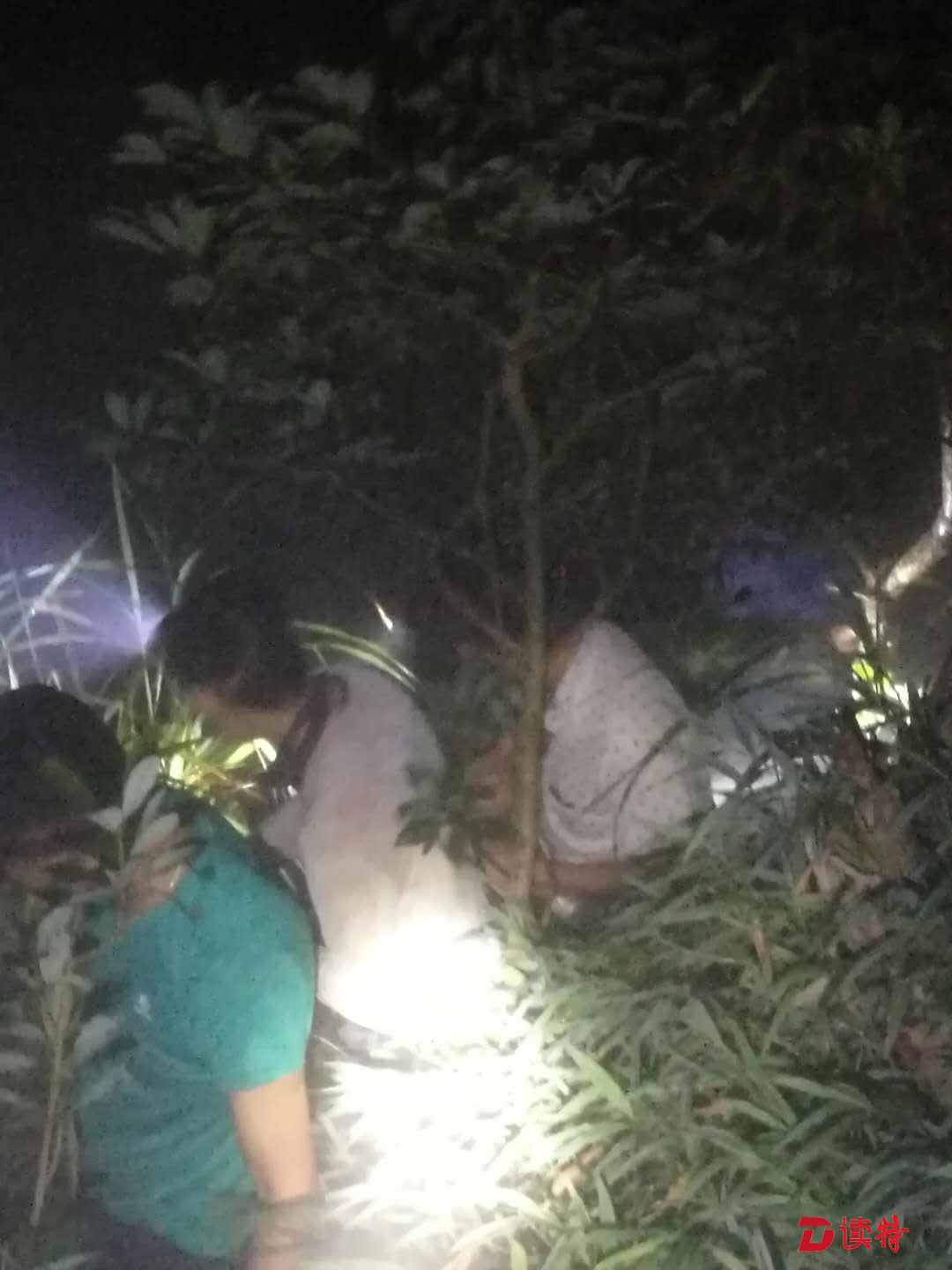 爬山不走寻常路，梧桐山一晚连发三起迷路求助警情 