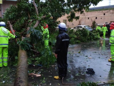 台风中坚守，坪山街道持续做好抗灾抢险工作