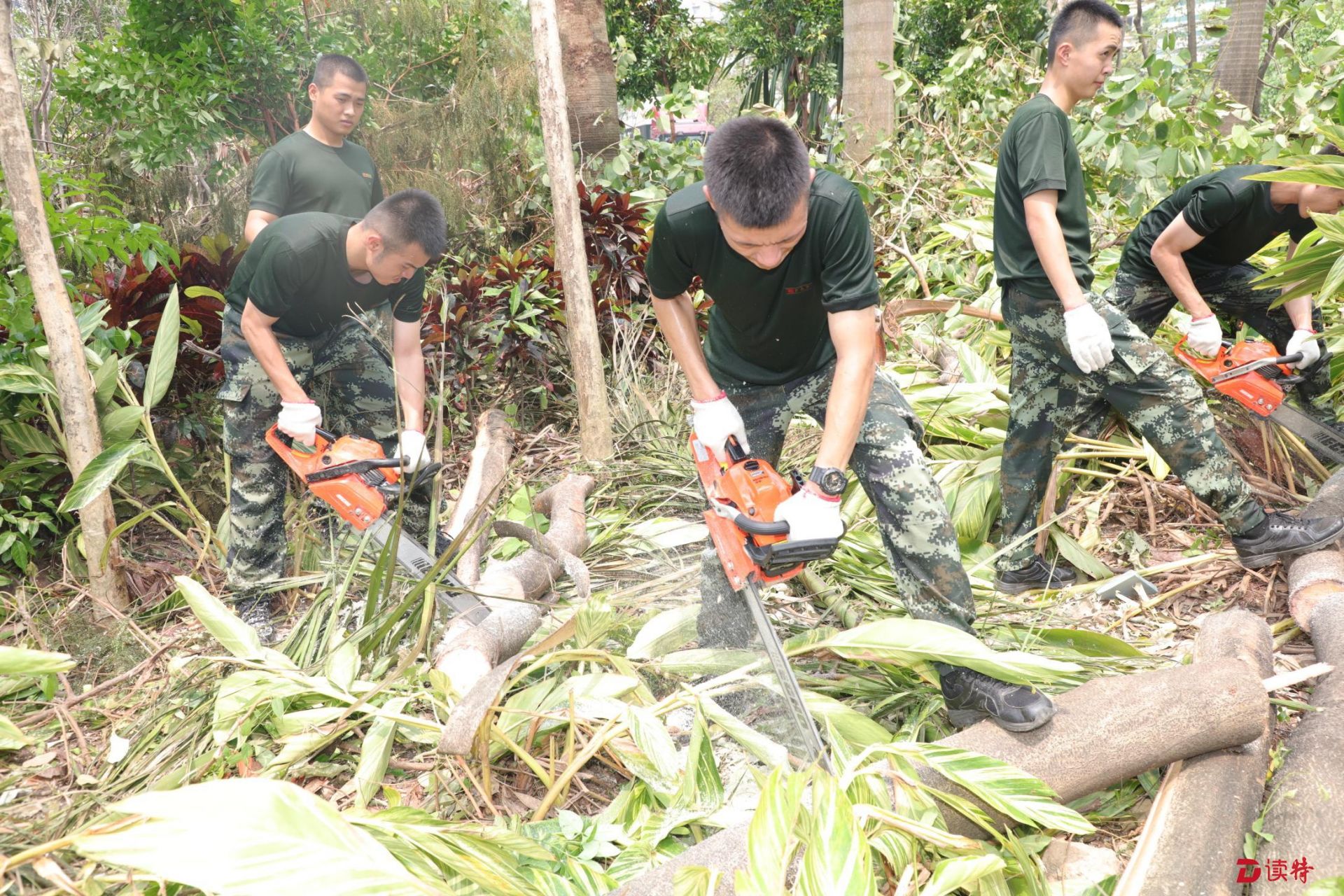 为草坪公交站清障 百余武警官兵奋战了一夜