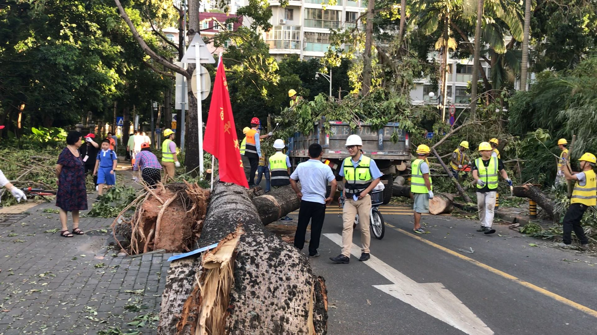 新闻路上说说说丨台风“山竹”吹来的那些法律问题，你知道吗？