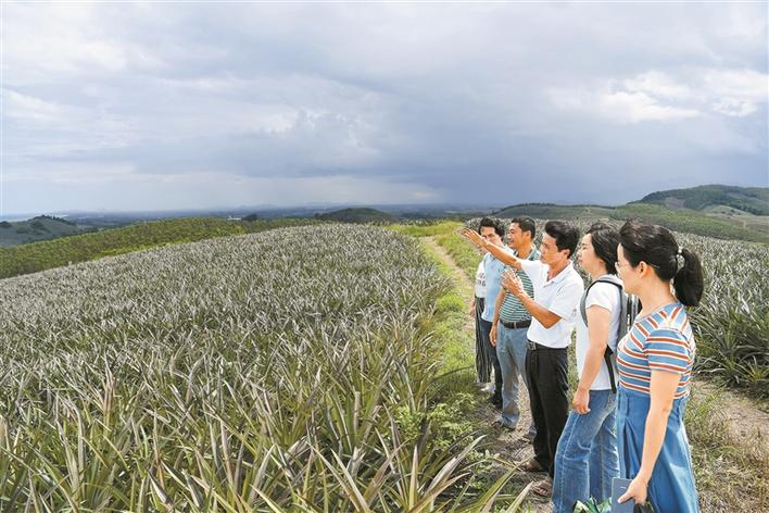 万宁市龙滚镇福塘村：党员带头做表率，村民生活节节高