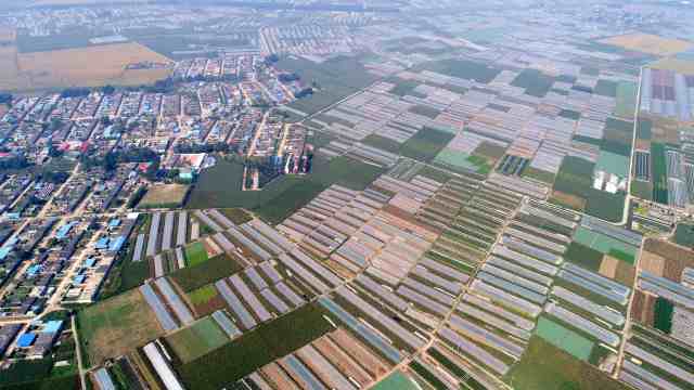 广东将投入百亿元打造全国性农业创新开放平台