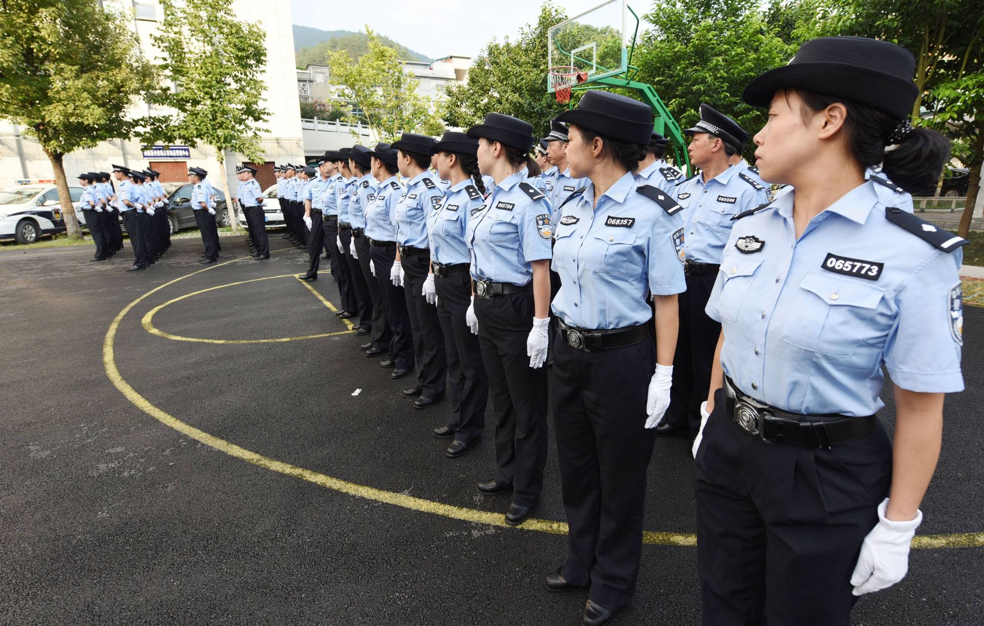 广东表彰扫黑除恶立功集体和个人 10名民警荣立二等功