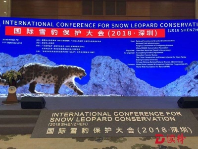 国际雪豹保护大会在深圳开幕，一起来保护雪山之王      