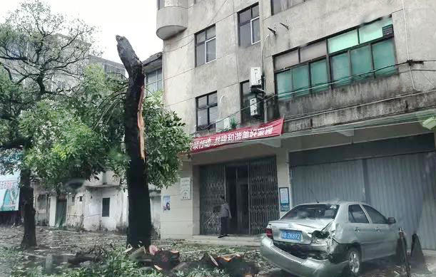 16级大风肆虐汕尾陆丰 23个镇区全部受灾 干群合力抗灾