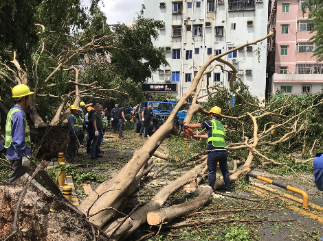深圳车友组织鹏城马帮出动70多辆车救援