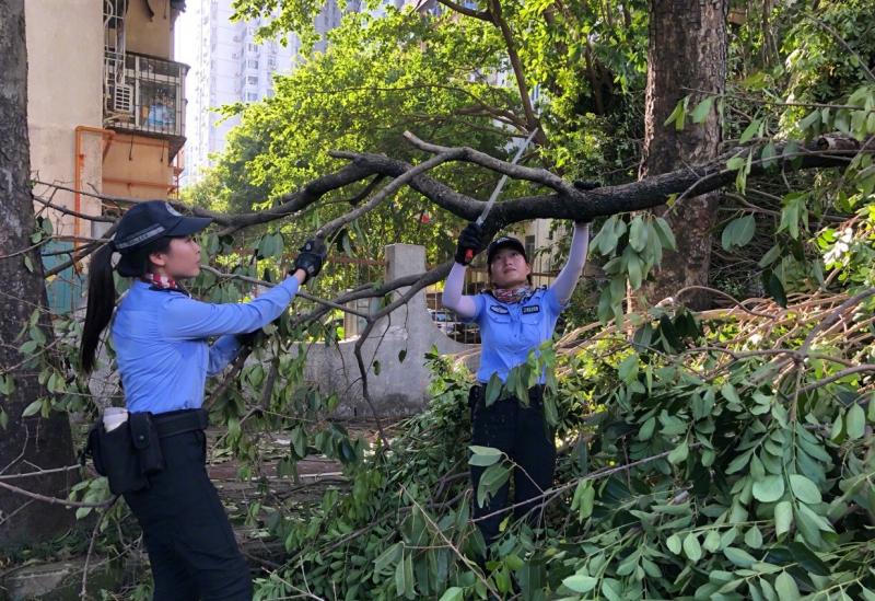 再次提醒，受台风影响产生交通违法不处罚！将延期至本周五