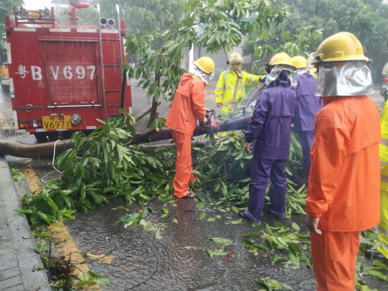 坪山227处隐患已落实整改措施  转移危险区域人员16145人