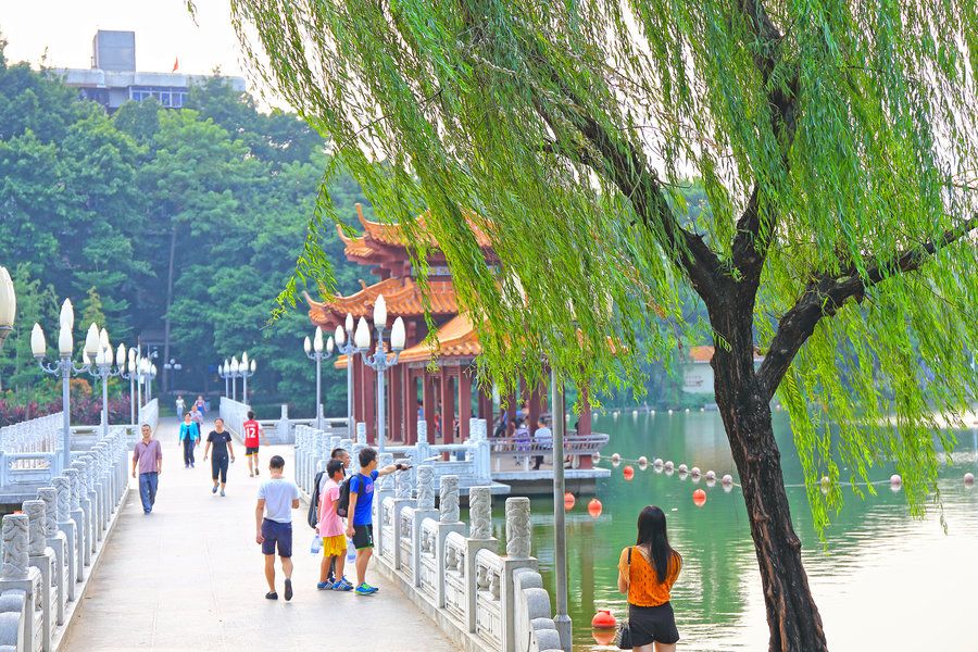中秋假期可以逛了！深圳市属公园22日开园