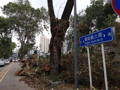 建议深圳设立“台风‘山竹’灾害纪念遗址”，你怎么看？