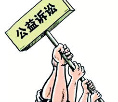 46名人大代表座谈公益诉讼！深圳检察机关已办理749件