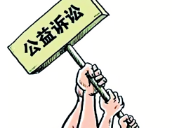 46名人大代表座谈公益诉讼！深圳检察机关已办理749件