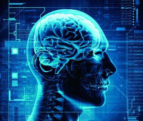 美研究人员发现大脑发育过程中存在大量DNA变异