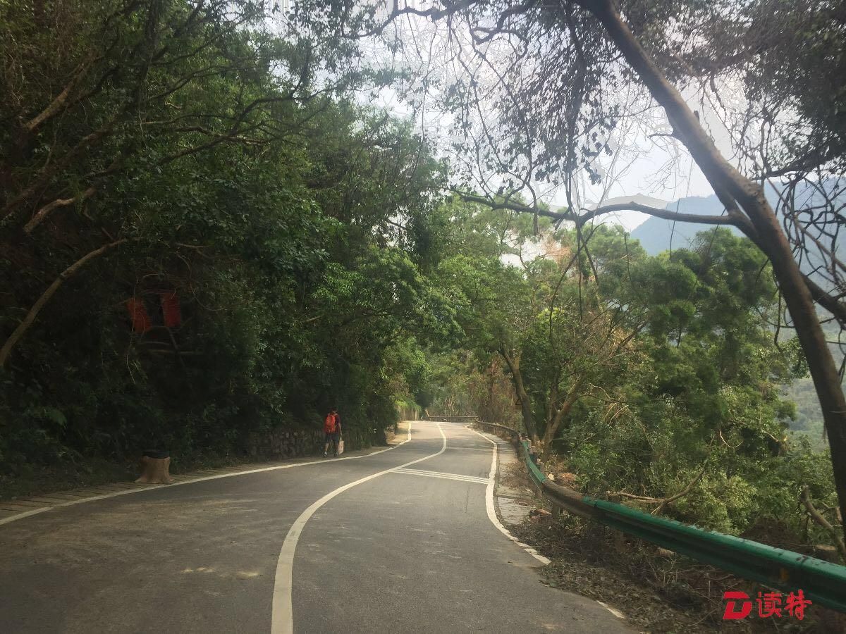 清理完毕！梧桐山风景区今天开园