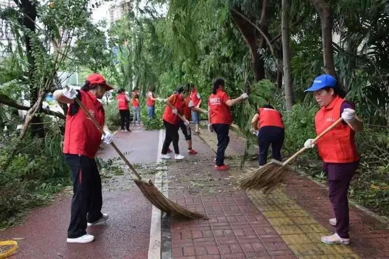 “山竹”过后大家共参与 宝安共青团发起倡议书