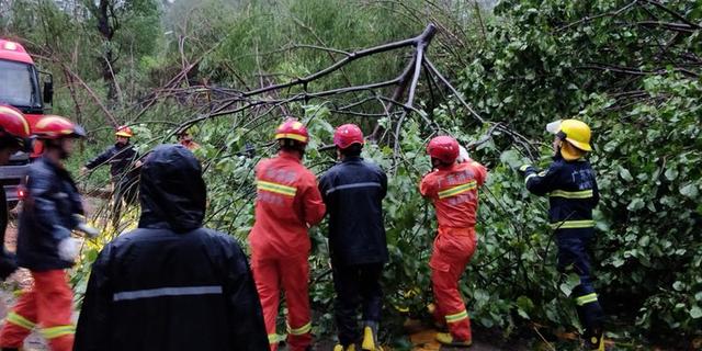 风雨中，罗湖消防官兵打通了前往“孤岛”的生命通道