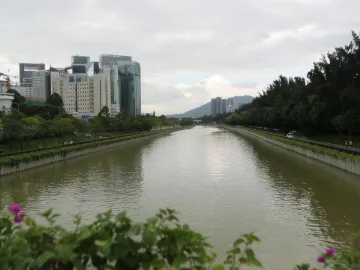 新闻路上说说说丨来打卡！在深圳也有媲美"塞纳河"的美景