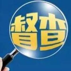 国务院派出8个督查组 分赴30个部门和单位开展督查 
