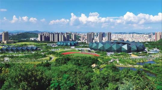 加强基层党组织建设！龙岗启动“扫黑除恶”干部专项考核