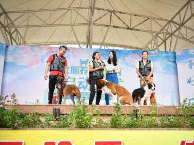 家有爱犬的看过来!深圳将开展100场社区文明养犬劝导活动