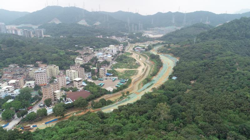 光明森林小镇成为深圳今年唯一被认定的省级森林小镇