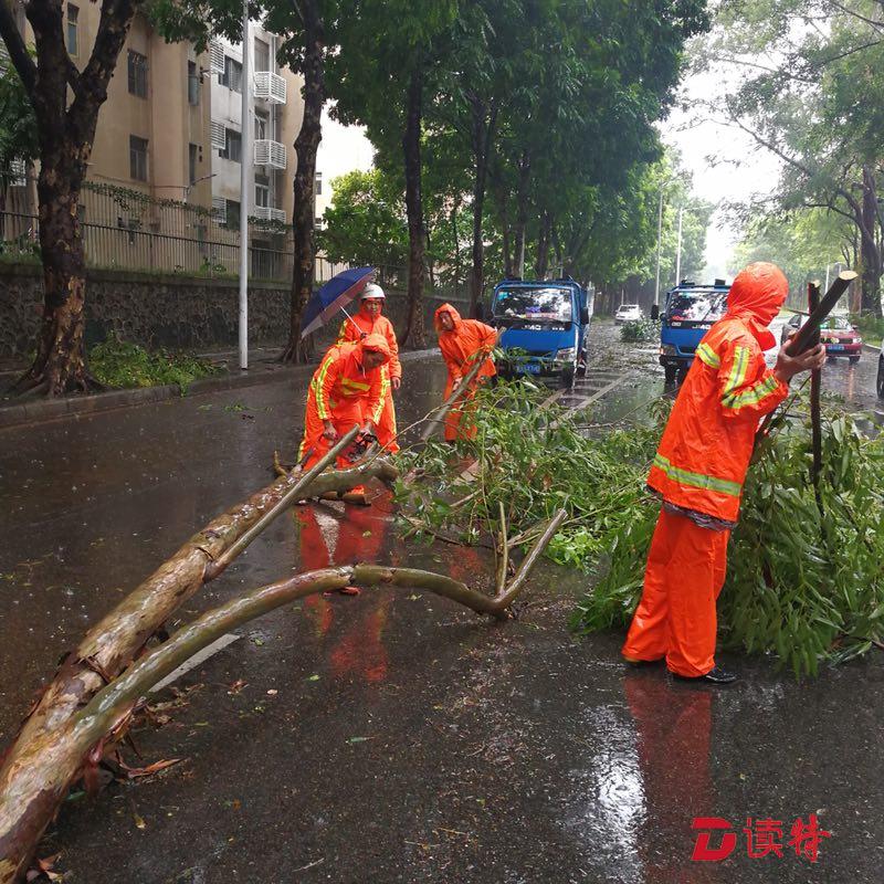 战台风，深圳市区城管已清理绿化垃圾84.5吨