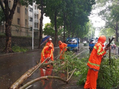 战台风，深圳市区城管已清理绿化垃圾84.5吨