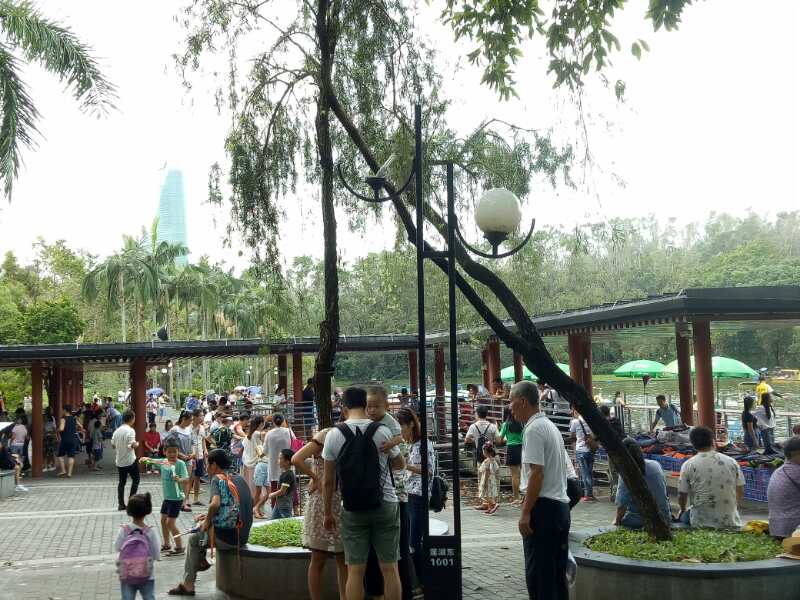 深圳市属各公园中秋假期共迎客逾102万人次！人最多的是…