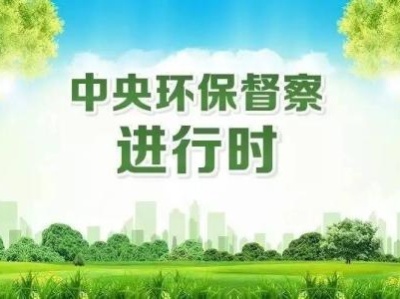 中央第五环境保护督察组向广东省反馈“回头看”及专项督察情况