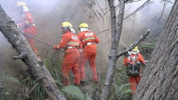 龙华有森林起火了？别急，这是秋冬火灾应急演练！