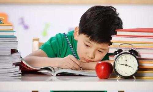 奇葩作业让家长“抓狂”：一年级孩子写12页科学报告
