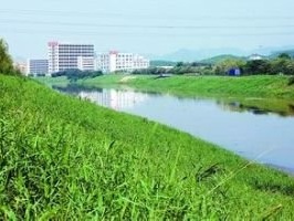 深圳开展黑臭水体流域污染源交叉执法专项行动