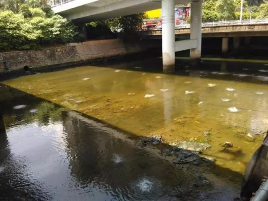 新圳河清淤工程及雨污分流、正本清源计划年底前完工