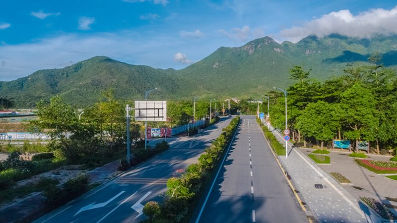 深圳首条动物通道将开工！1个月记录383起野生动物道路致死事件