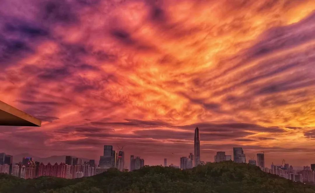 夕阳美如画，清风醉晚霞！如何能不爱深圳……