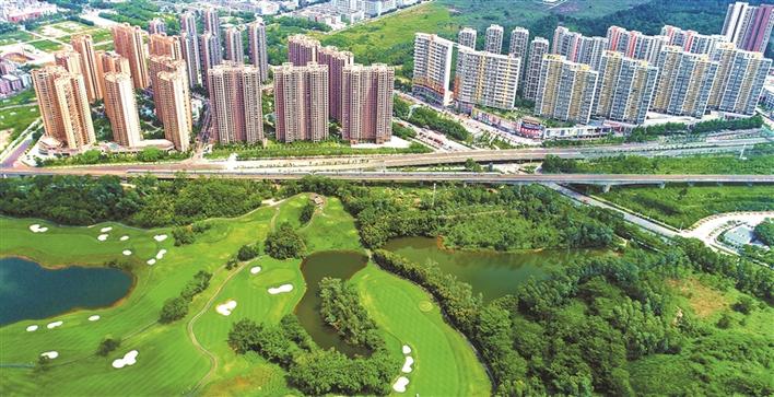龙岗区宝龙街道以党建为引领驶上发展快车道