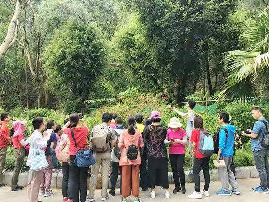 趁秋光甚好，去盐田绿道山海赏花径吧！