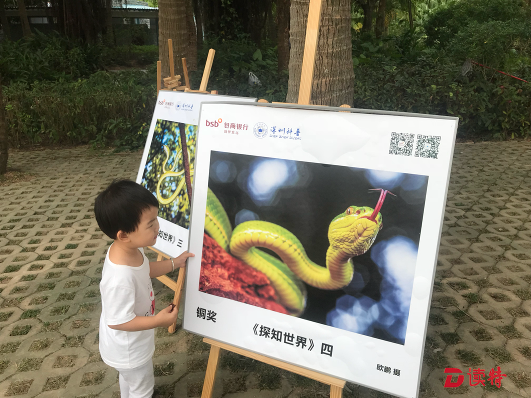 展示科普之美！深圳首届科普摄影大赛精彩纷呈