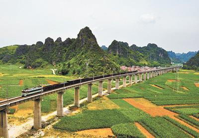 促进贫困劳动力就业 龙岗区对口广西精准就业扶贫成效显著