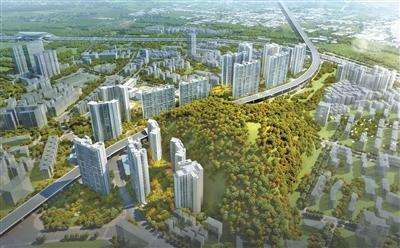 重磅！罗湖棚户区改造实施办法出台！“双95%”权利主体同意即可