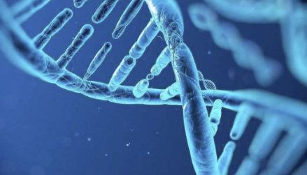 卫健委、科技部回应“基因编辑婴儿”：正调查核实