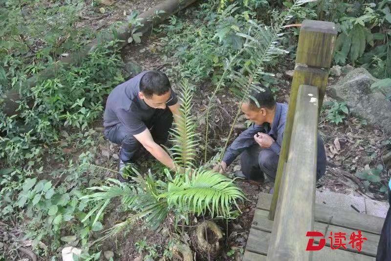 守护绿水青山 传播生态文明