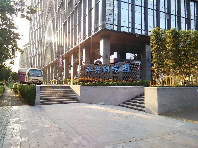 南山区委书记王强：  在推动高质量发展上走在最前列