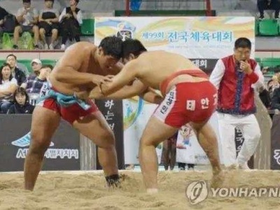 韩国和朝鲜的朝鲜半岛民俗“摔跤”同时申遗成功