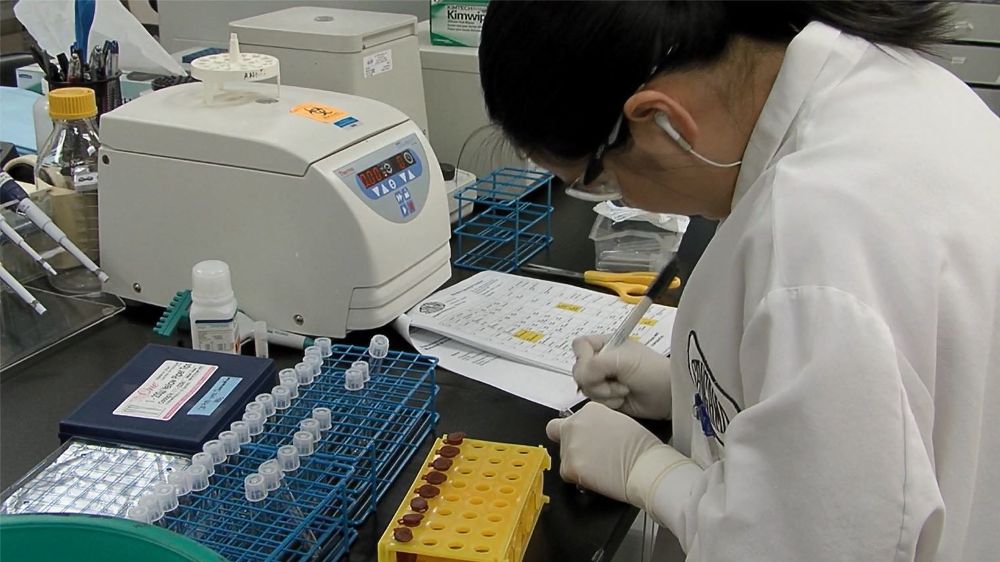 市科创委：从未立项资助“基因编辑婴儿”项目
